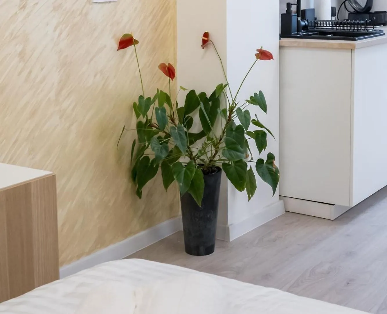 Ivory Concept Studio 65 Bucharest